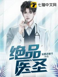 ��Ʒҽʥ�����Ķ�txt����