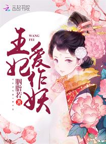 ����������С˵