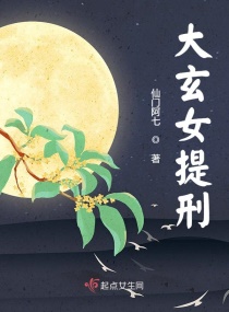 ����Ů����С˵