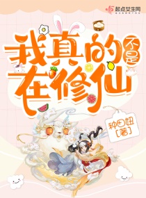 ����Ĳ���������С˵