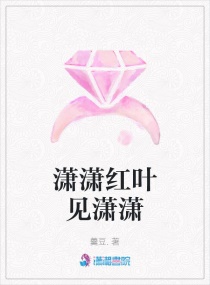 �����Ҷ������С˵