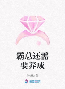 ���ܻ���Ҫ����С˵