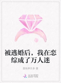 ���ӻ���������۳���������С˵