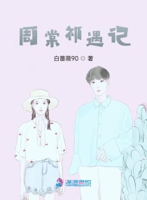 ����������С˵