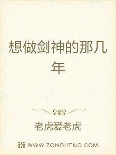 ����������Ǽ���С˵