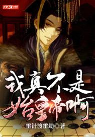 ���治��ʼ�ʵ۰�С˵