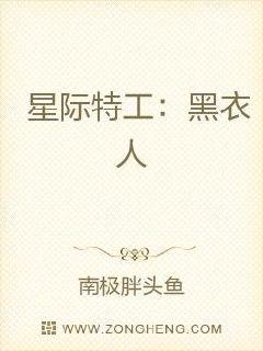 �Ǽ��ع���������С˵