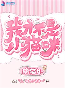 �ҲŲ���Сè��С˵