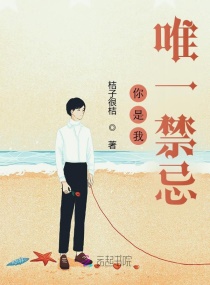 ������Ψһ����С˵