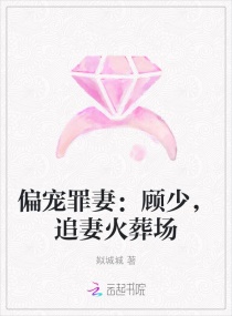 ƫ�����ޣ����٣�׷�޻��᳡С˵