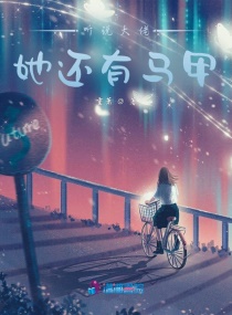 ��˵��������������С˵