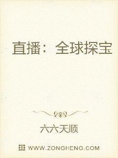 ֱ����ȫ��̽��С˵