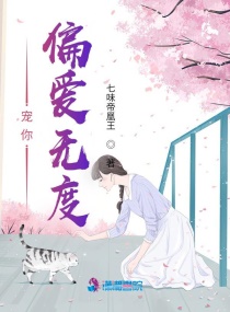 ����ƫ���޶�С˵