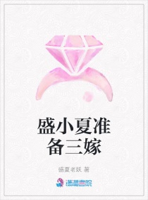 ʢС��׼������С˵