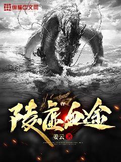 ����Ѫ;�����Ķ�txt����