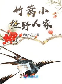 ����С��Ұ�˼�С˵