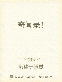 ����¼��С˵