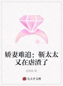 ������׷����̫̫����Ű���������Ķ�txt����