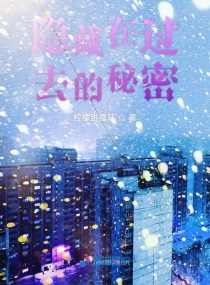 �����ڹ�ȥ������С˵