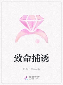 ��������С˵