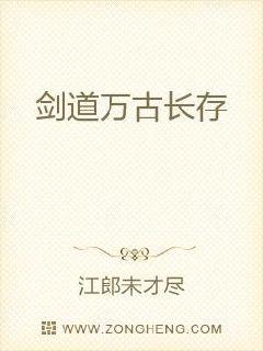 ������ų���С˵