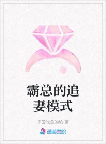 ���ܵ�׷��ģʽС˵