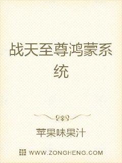 �������ϵͳС˵