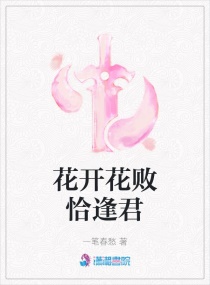 ��������ǡ���С˵