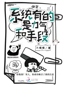 �촩��ϵͳ�е����������ֶ�С˵