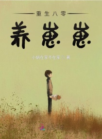 ��������������С˵