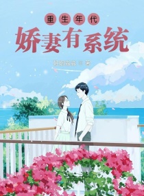 �������������ϵͳС˵