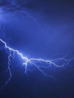 ���Ÿ�������������С˵