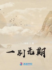 һ������С˵