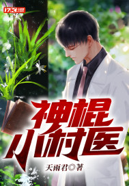 ���С��ҽС˵