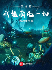 �ٻ�ʦ�������Ȼ�һ��С˵