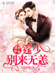 ʢ��ֿ�裺���٣���������С˵