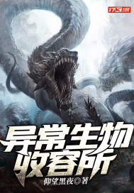 �쳣����������С˵