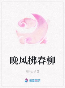 ���������С˵