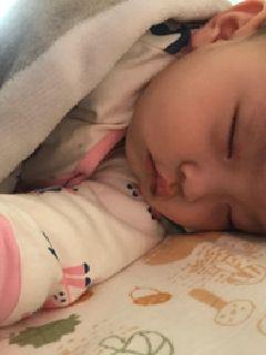 ����������С˵