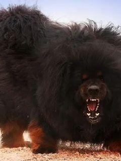 �������С˵