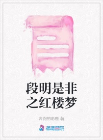 �����Ƿ�֮��¥��С˵