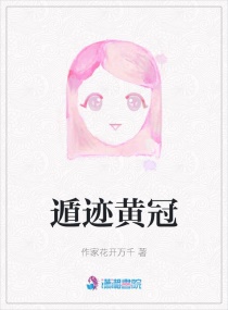 �ݼ��ƹ�С˵