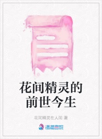 ���侫���ǰ������С˵