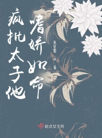 ����̫�����Ƚ�����С˵