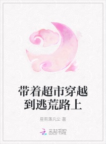 ���ų��д�Խ���ӻ�·��С˵