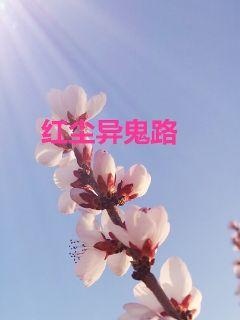 �쳾���¼С˵