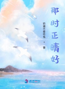 �������Ƿ綯С˵