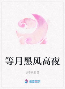 ���ºڷ��ҹ�����Ķ�txt����