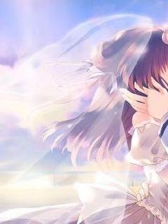 ������ֶ�С˵