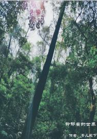 �����ߵ����������Ķ�txt����